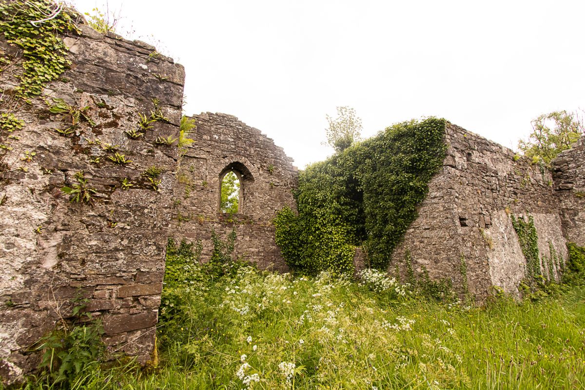 Ancient church lost to nature