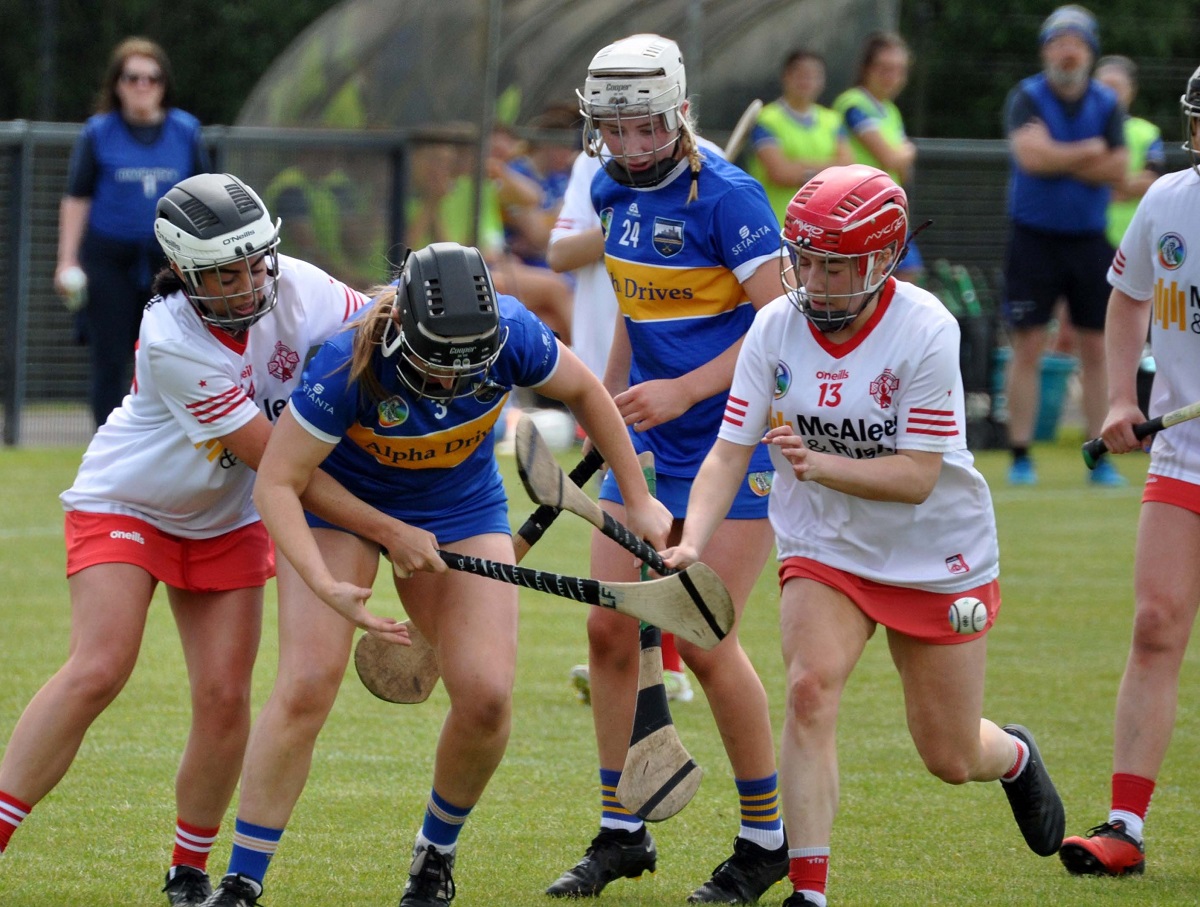 Camogs battle bravely in Tipp defeat