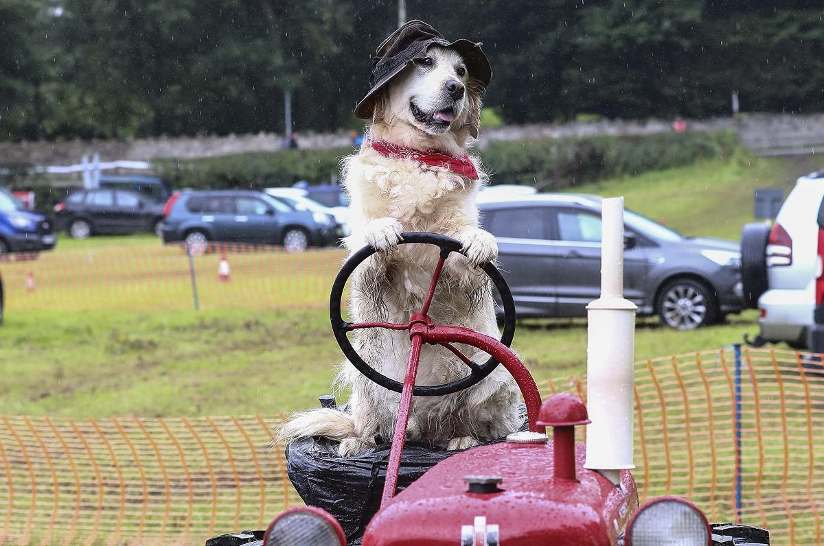 Motorists are advised of traffic disruption ahead of Clogher Show