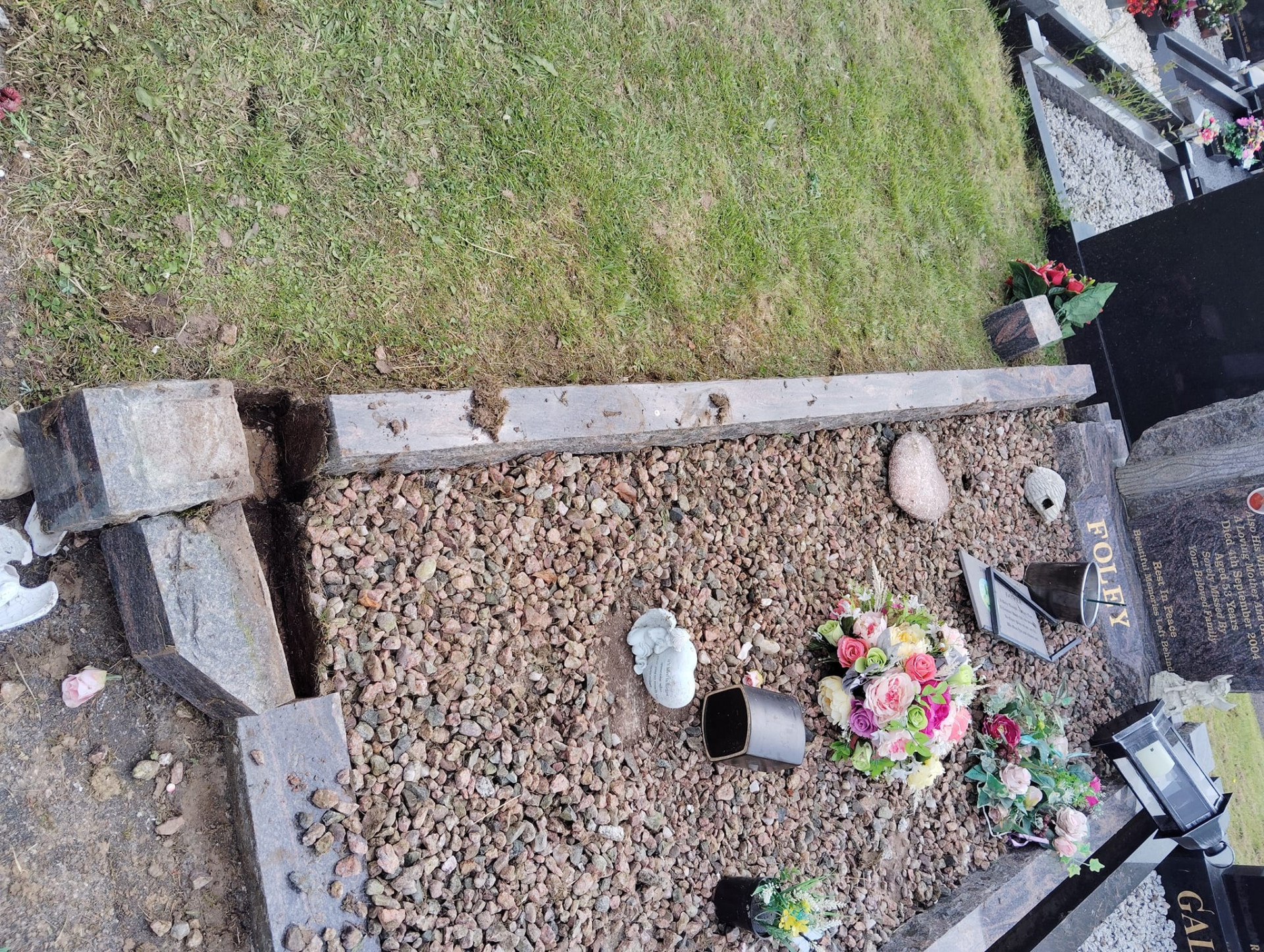 Herd of escaped cows destroy graves in Strabane cemetery