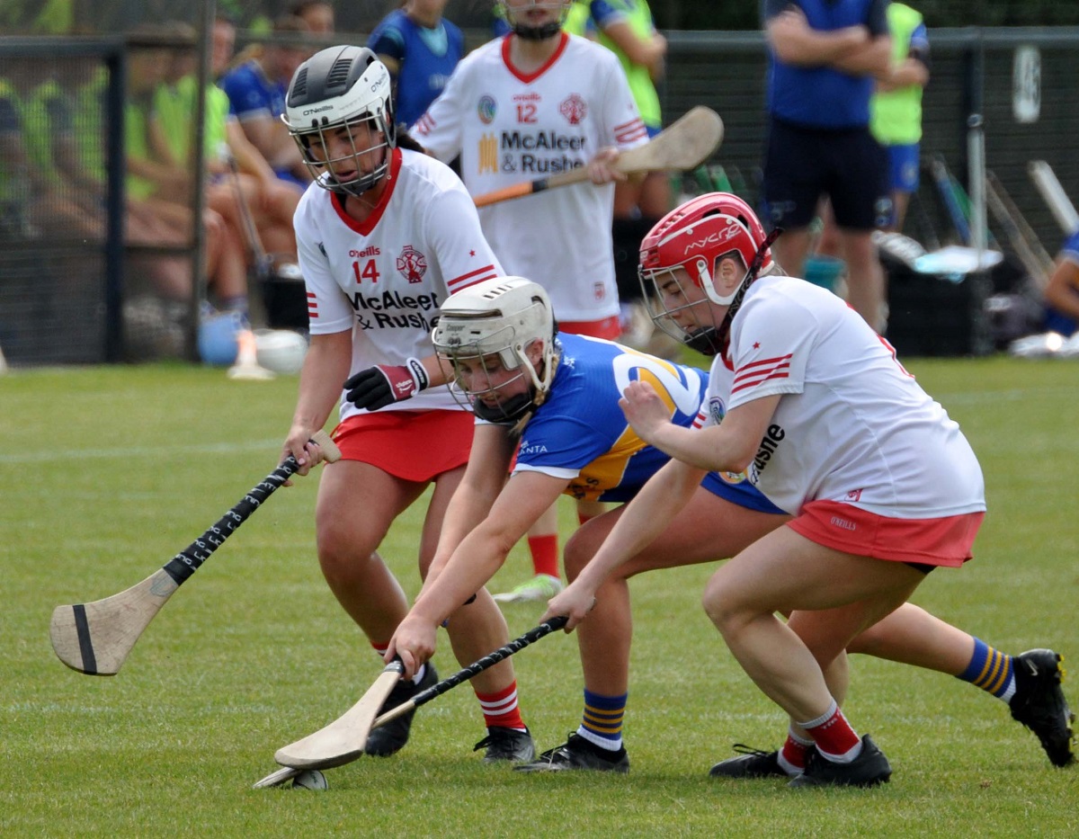 Camogs brave bid in Clane comes up short