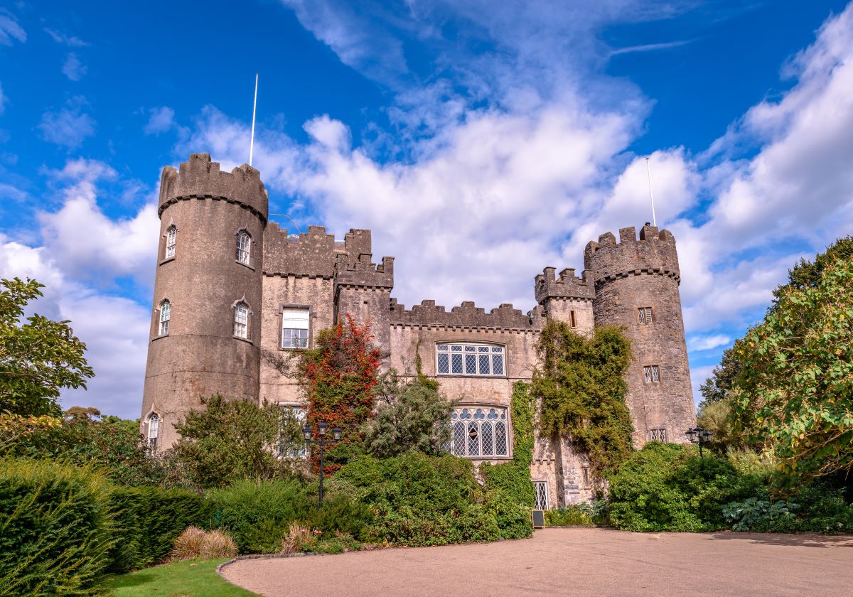 Summer outing for history group