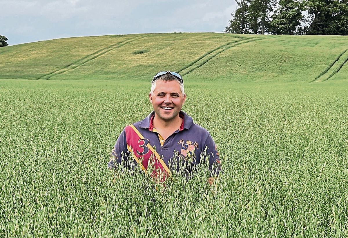 Tyrone farmer wins oats competition