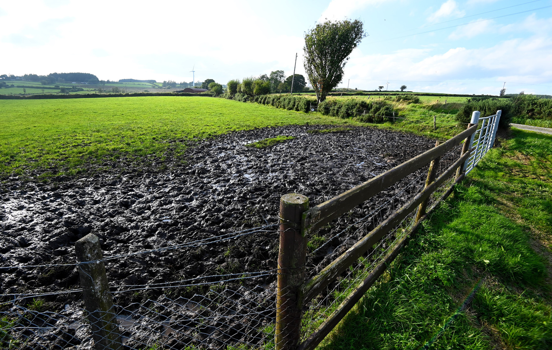 Soggy summer soaks farmers’ spirits