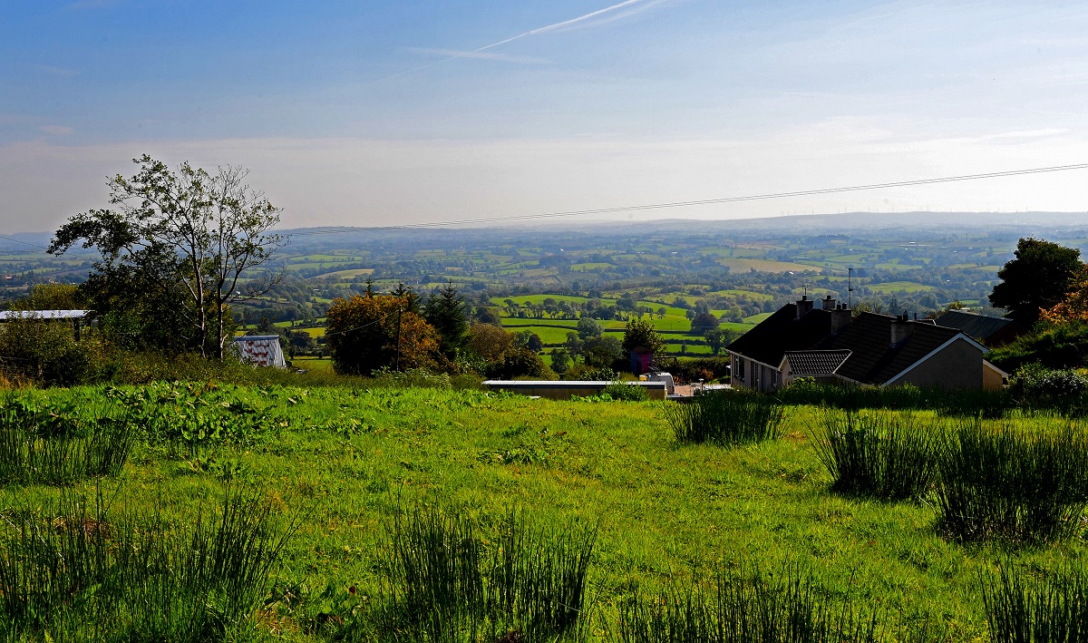 Councillors to visit site of proposed pet crematorium