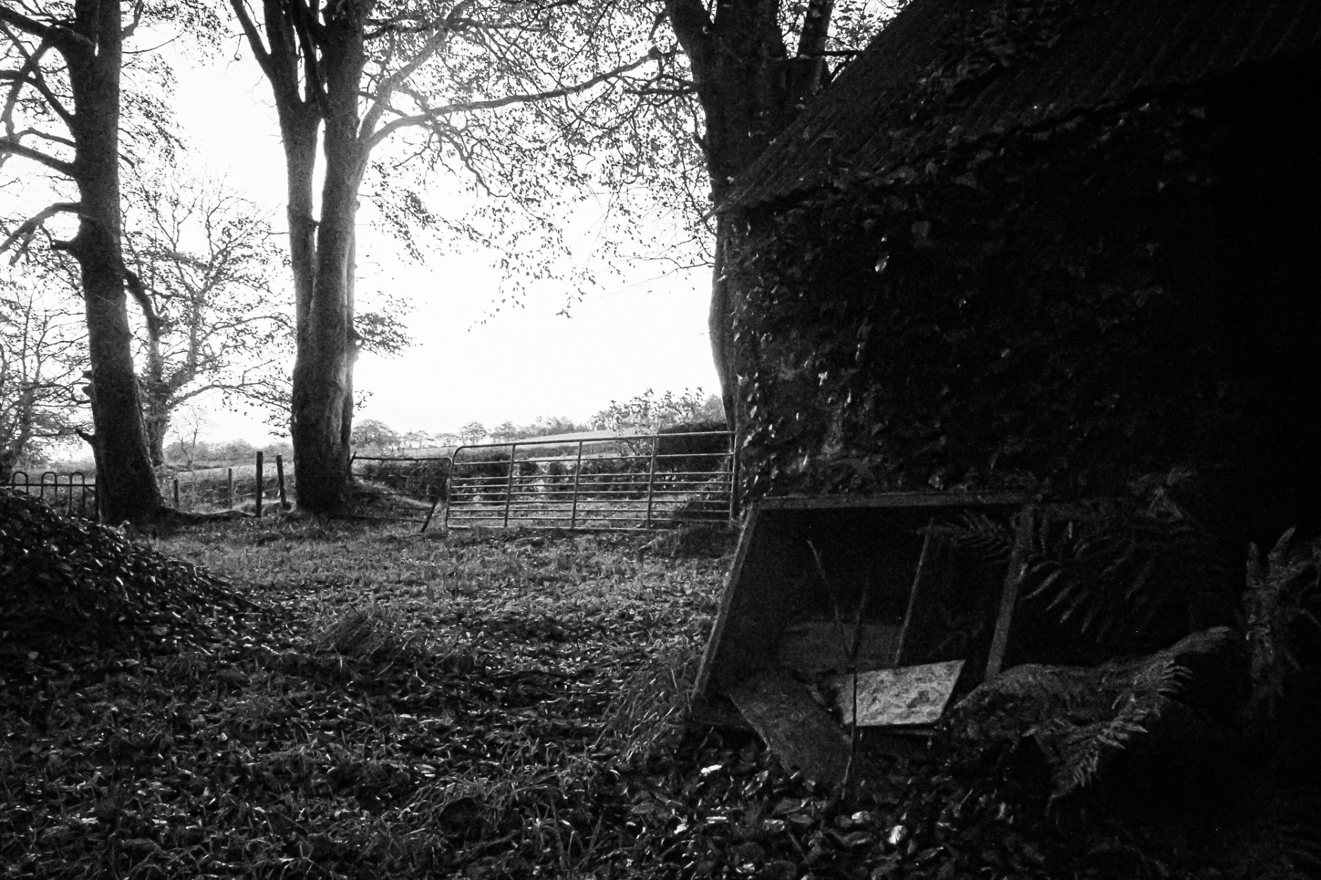 ‘Haunted’ cottage terrorises rural family