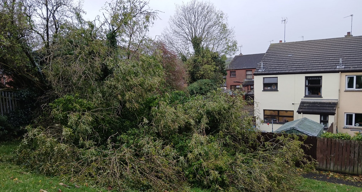 Storm Ashley causes considerable trouble across the county