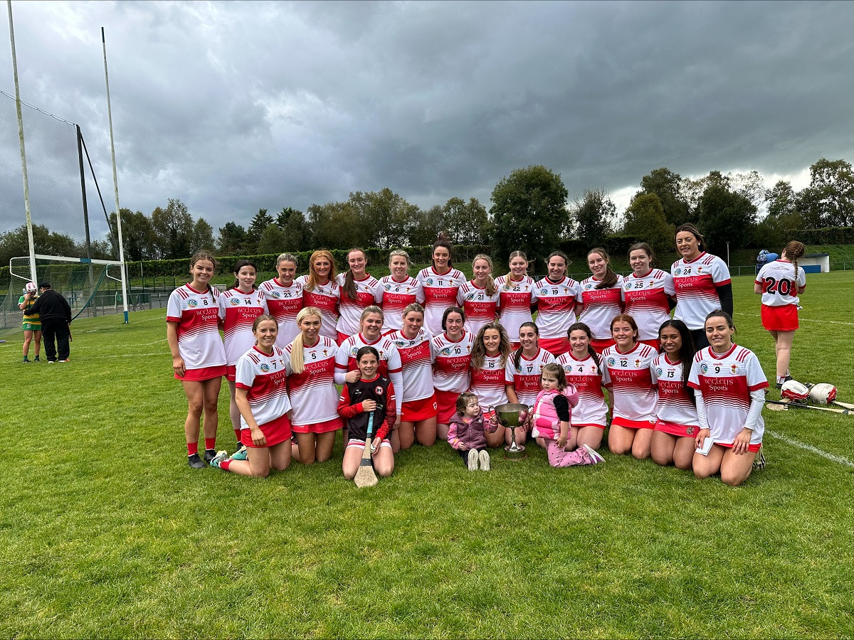 Naomh Tresa Camogs ease past Edendork