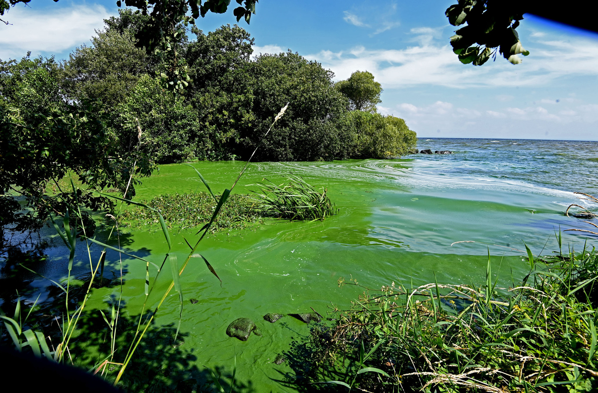 Space agency to monitor Lough Neagh’s algae threats