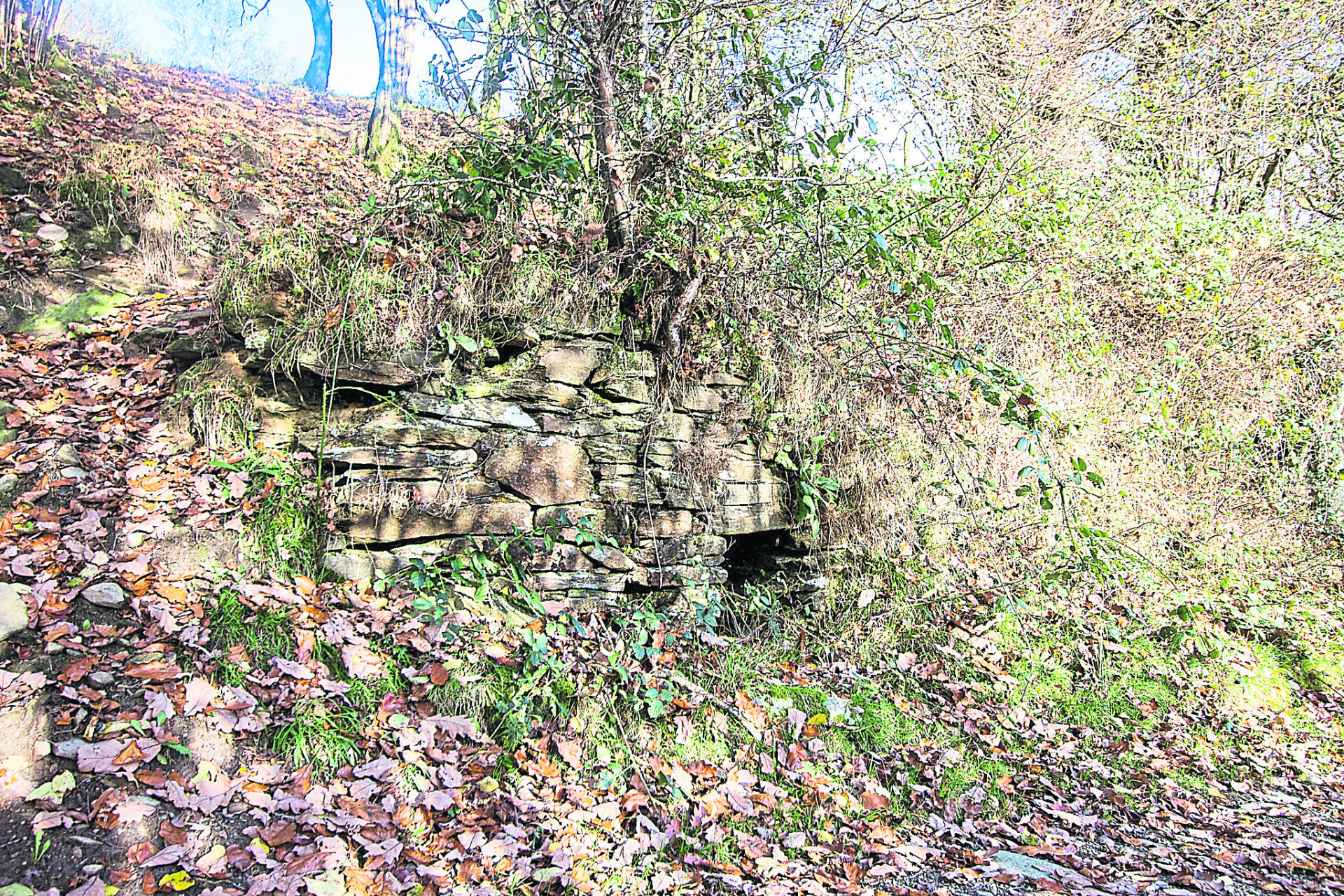 Rouskey’s hidden sweathouse