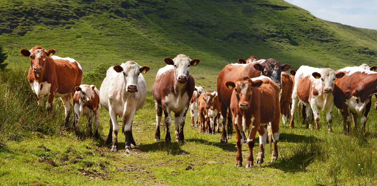 ‘The end of generational farming’