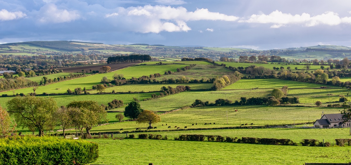 Rock Historical Society hosts talk on Ulster townlands