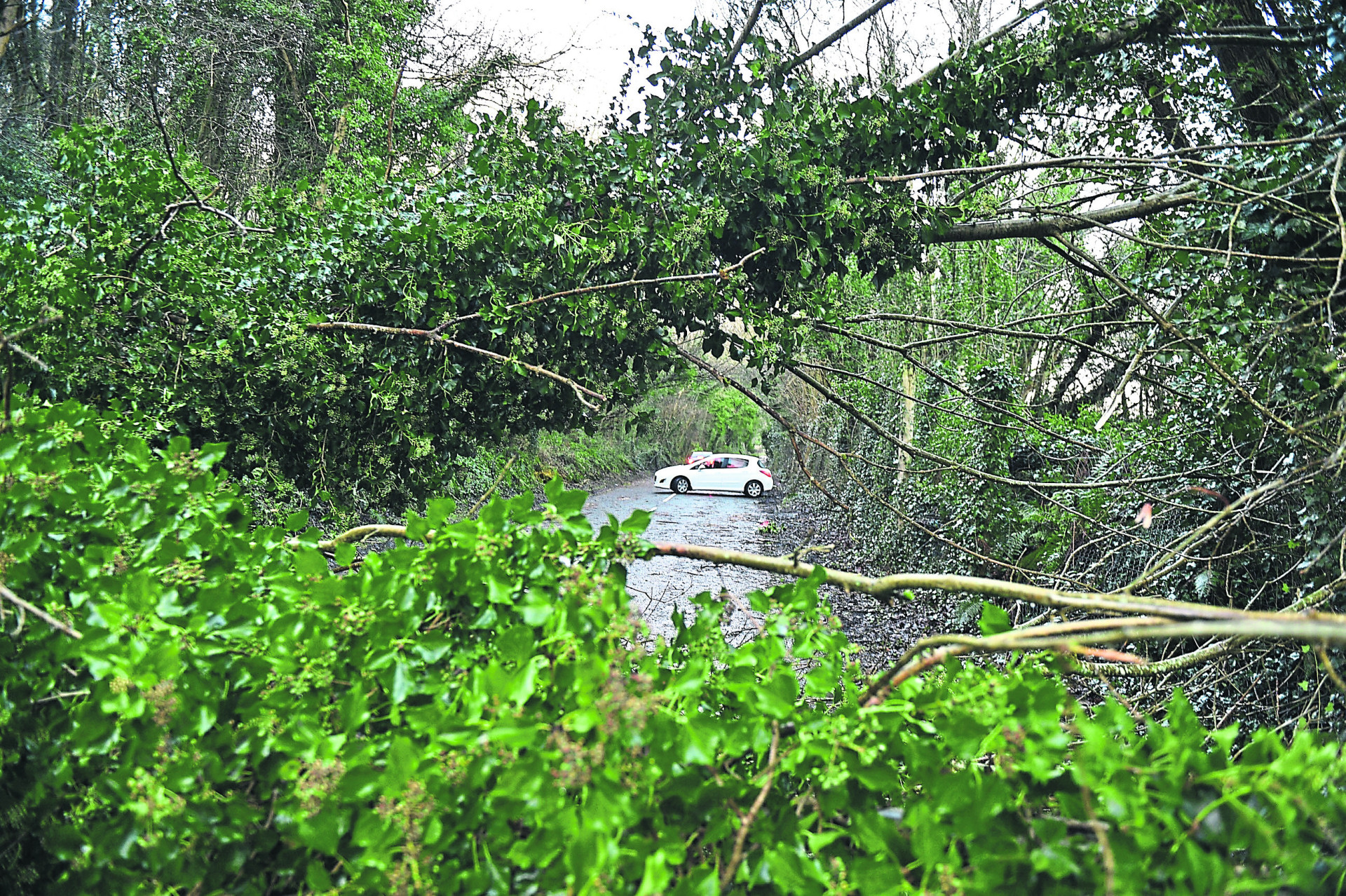 1,200 still without power in Tyrone