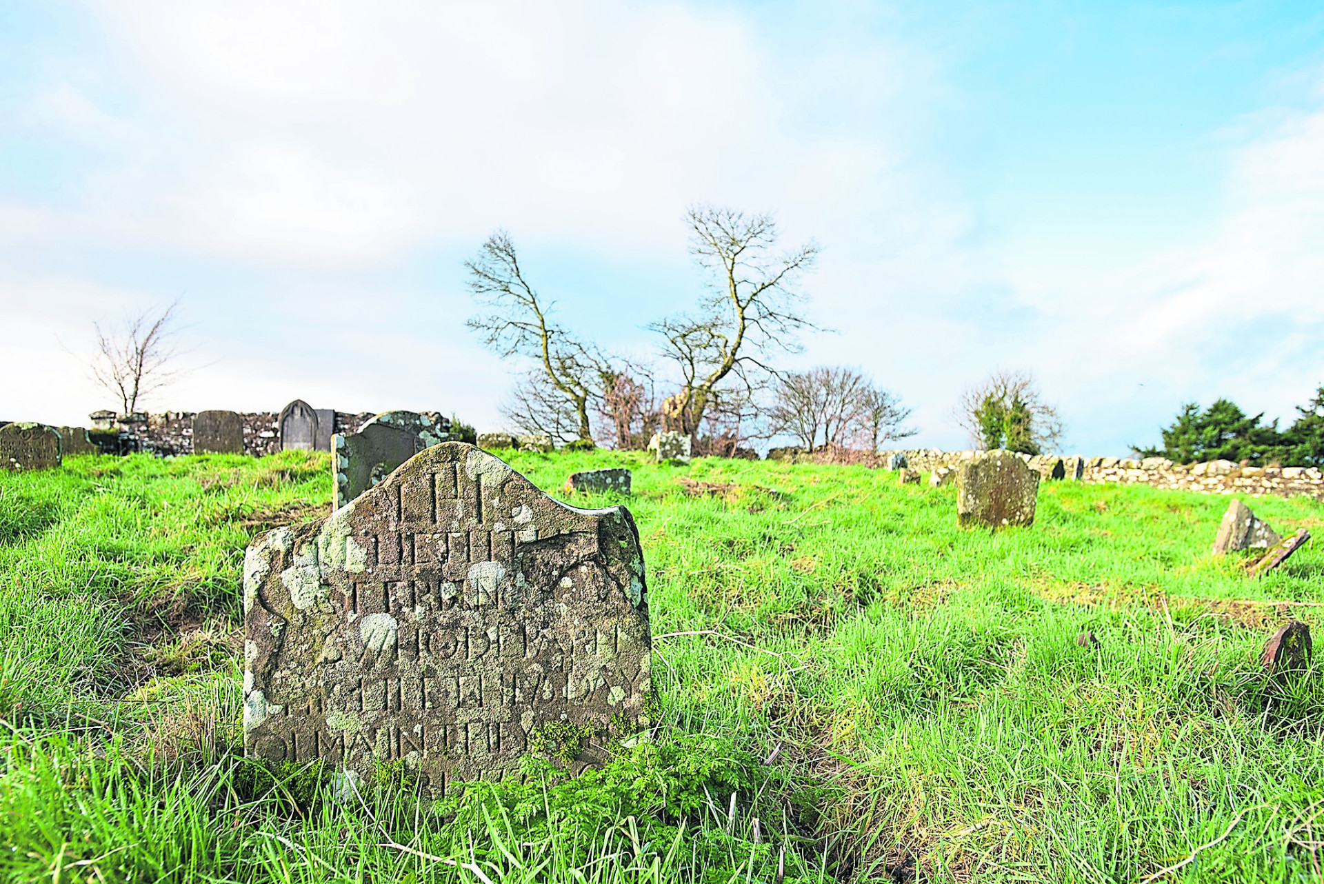 The wonderful story of the ‘Toothache Tree’ in a Tyrone cemetery