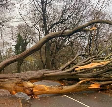 Clean-up continuing after huge impact of storm across Tyrone