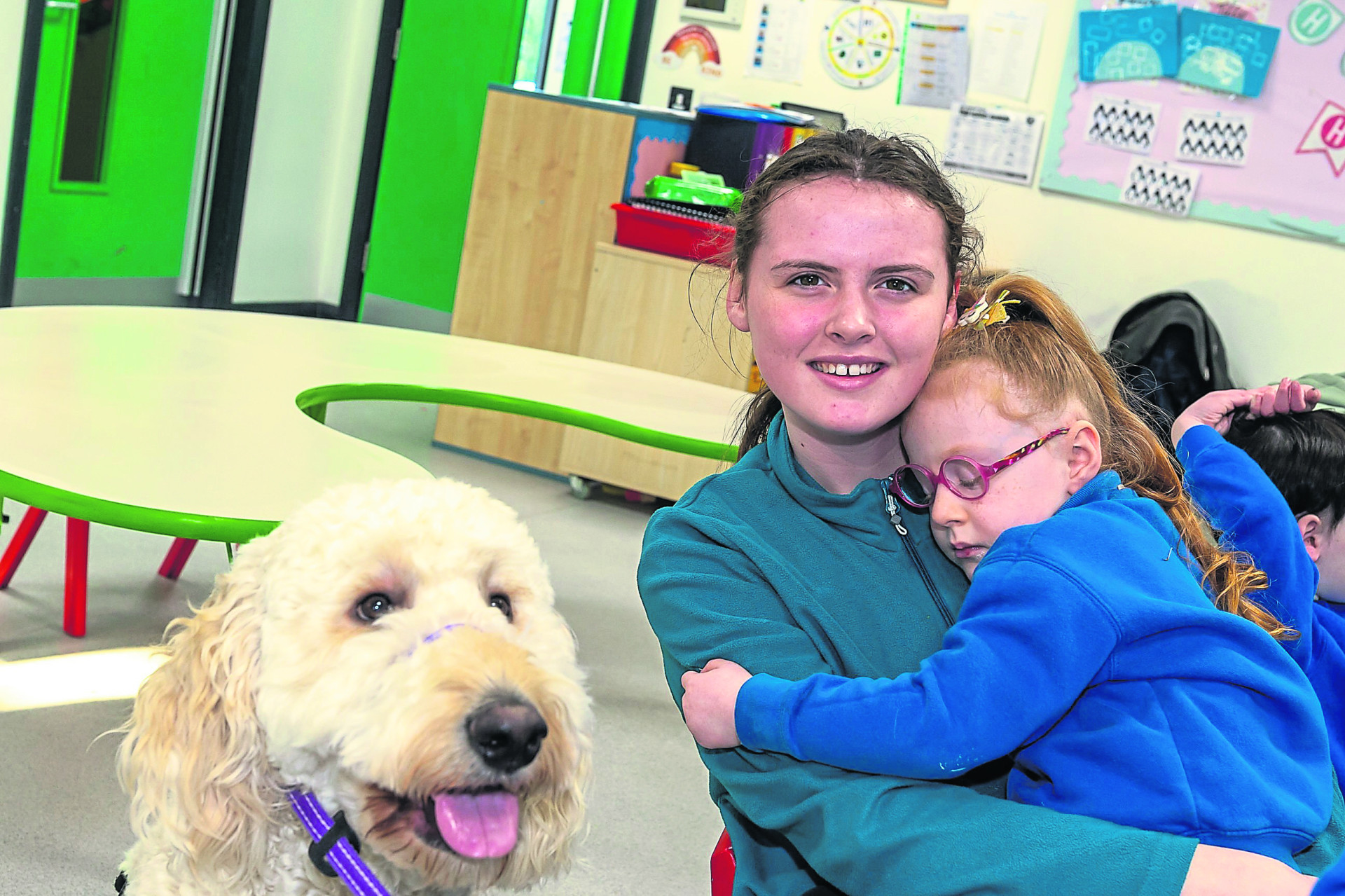 The little dog who has a big impact on life in a Tyrone school