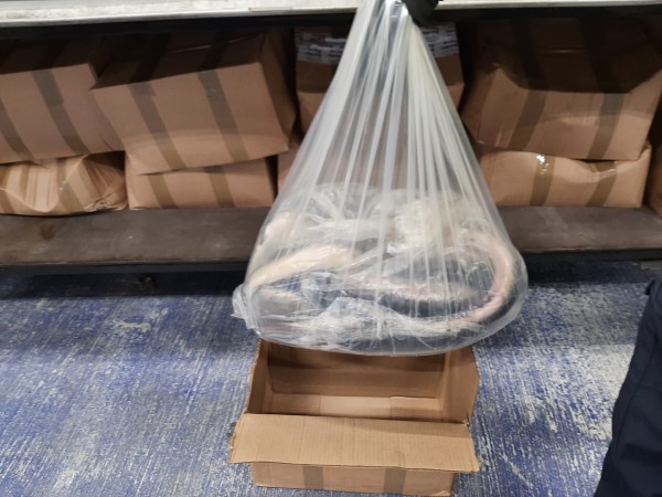 Man sentenced for smuggling European eels into Holyhead