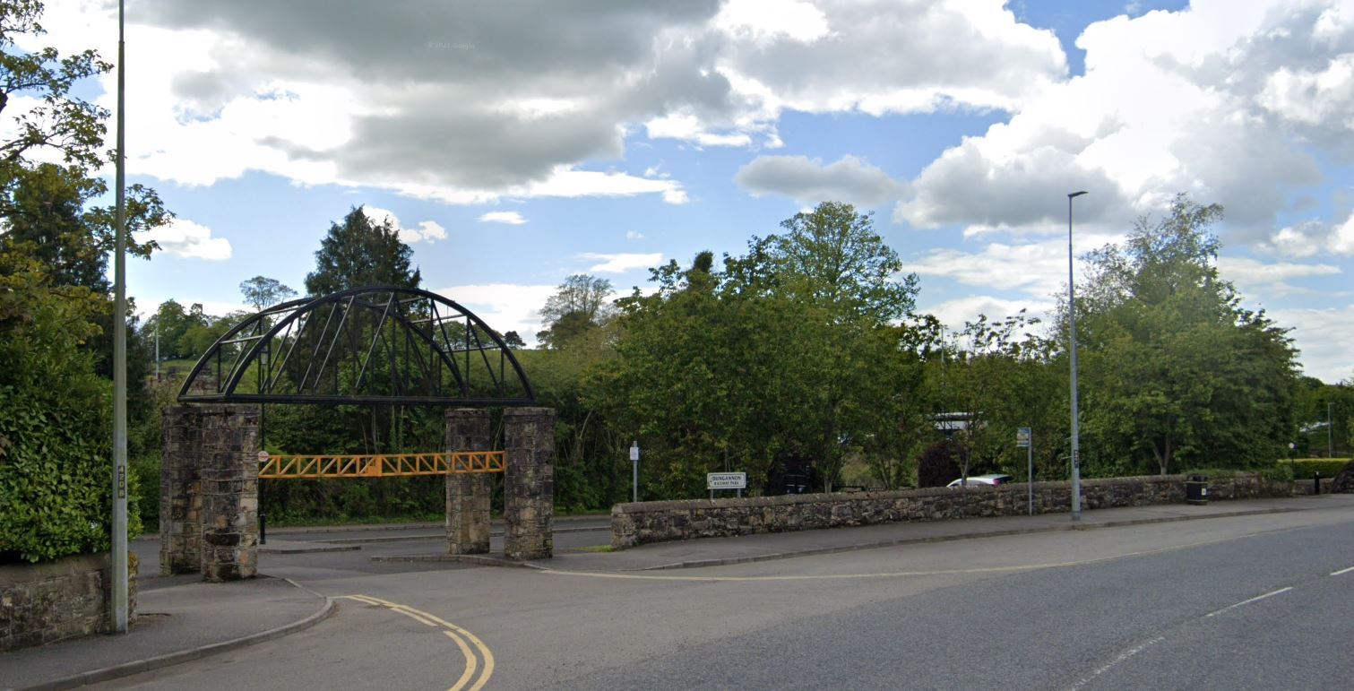 Fears invasive plant species has been found in Tyrone park