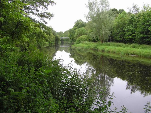 300 fish killed in incident on river which flows into Omagh