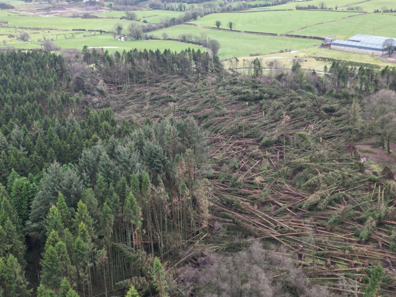 Public warned not to visit forests as storm clear-up continues