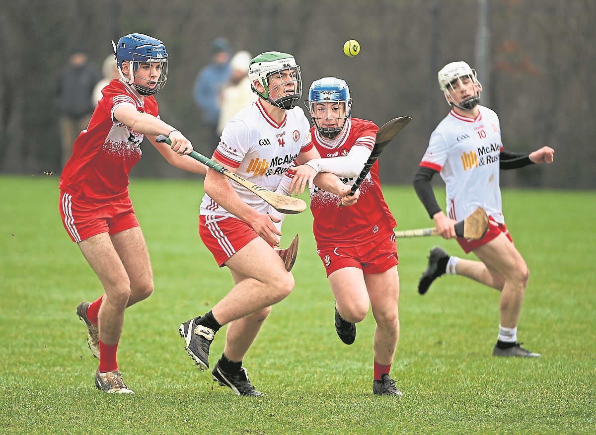 Minor hurlers defeat Derry to maintain their momentum