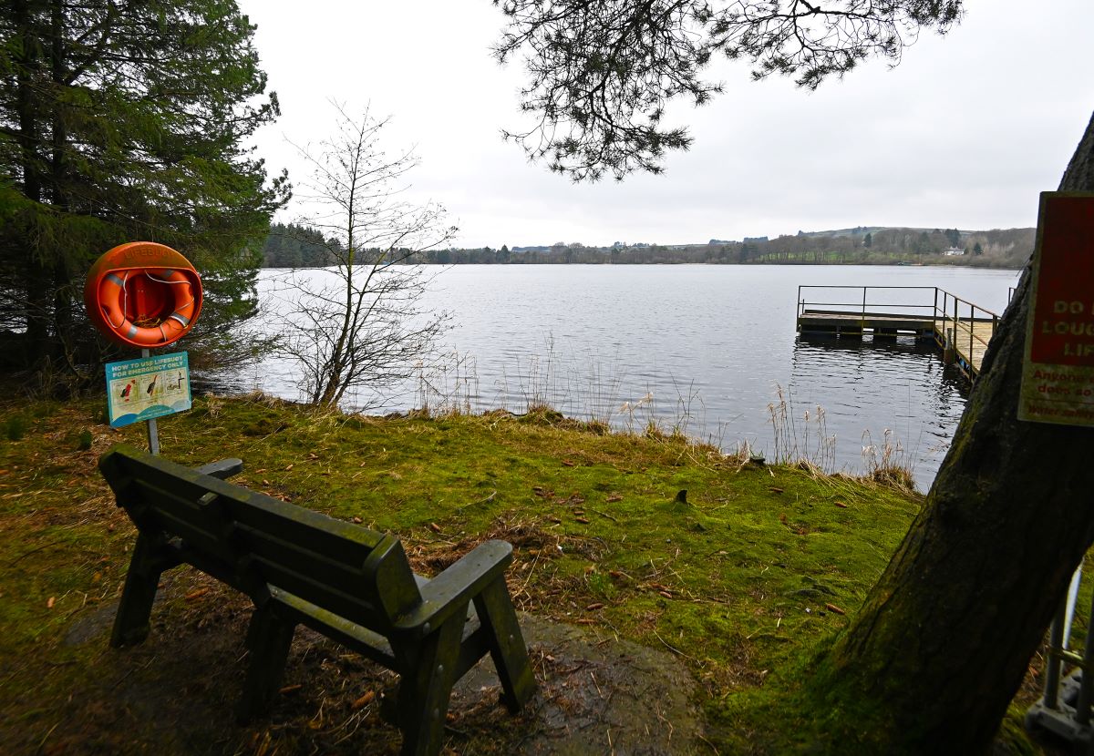 Loughmacrory algae outbreak sparks environmental action