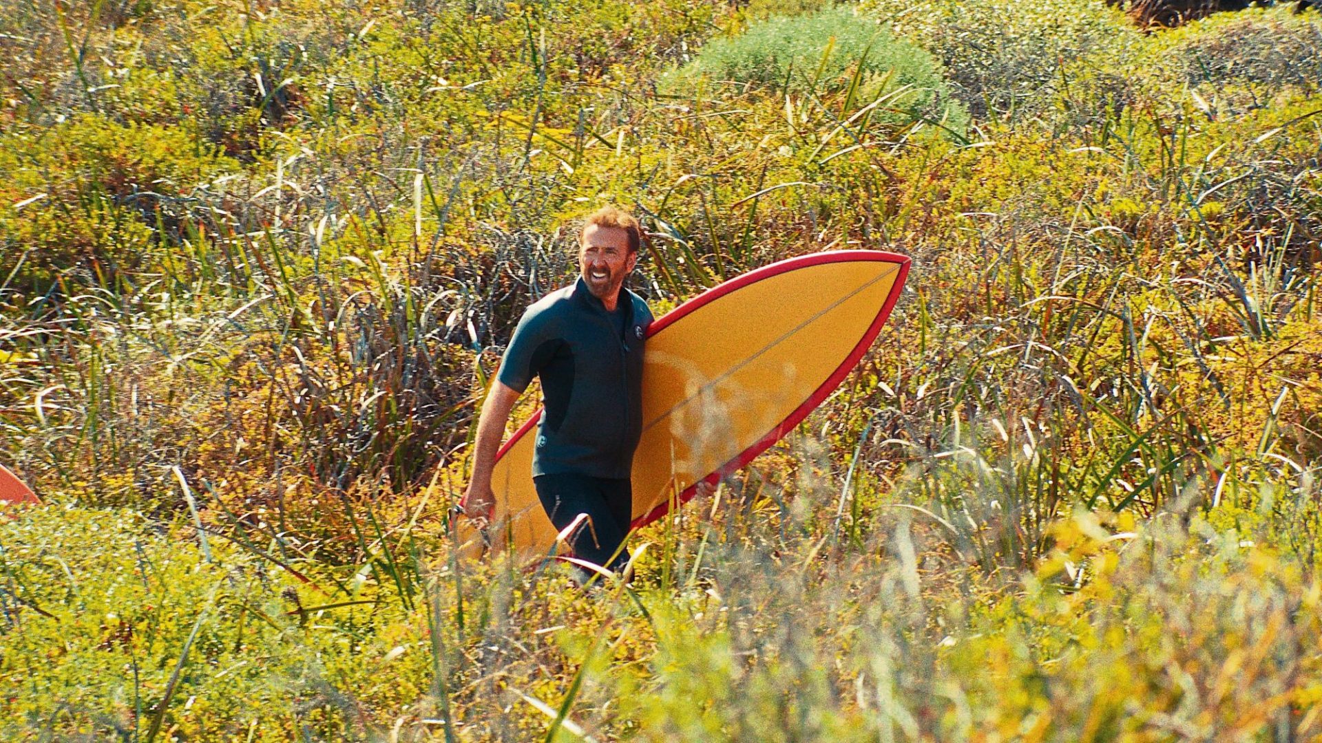 Movie Scene: Surf’s Up!