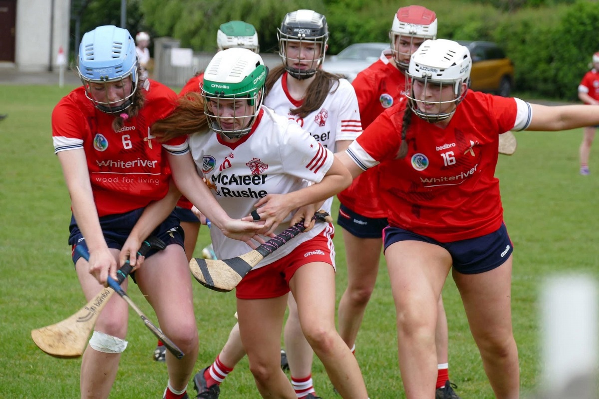 Tyrone camogs cruise past the Wee County in opener