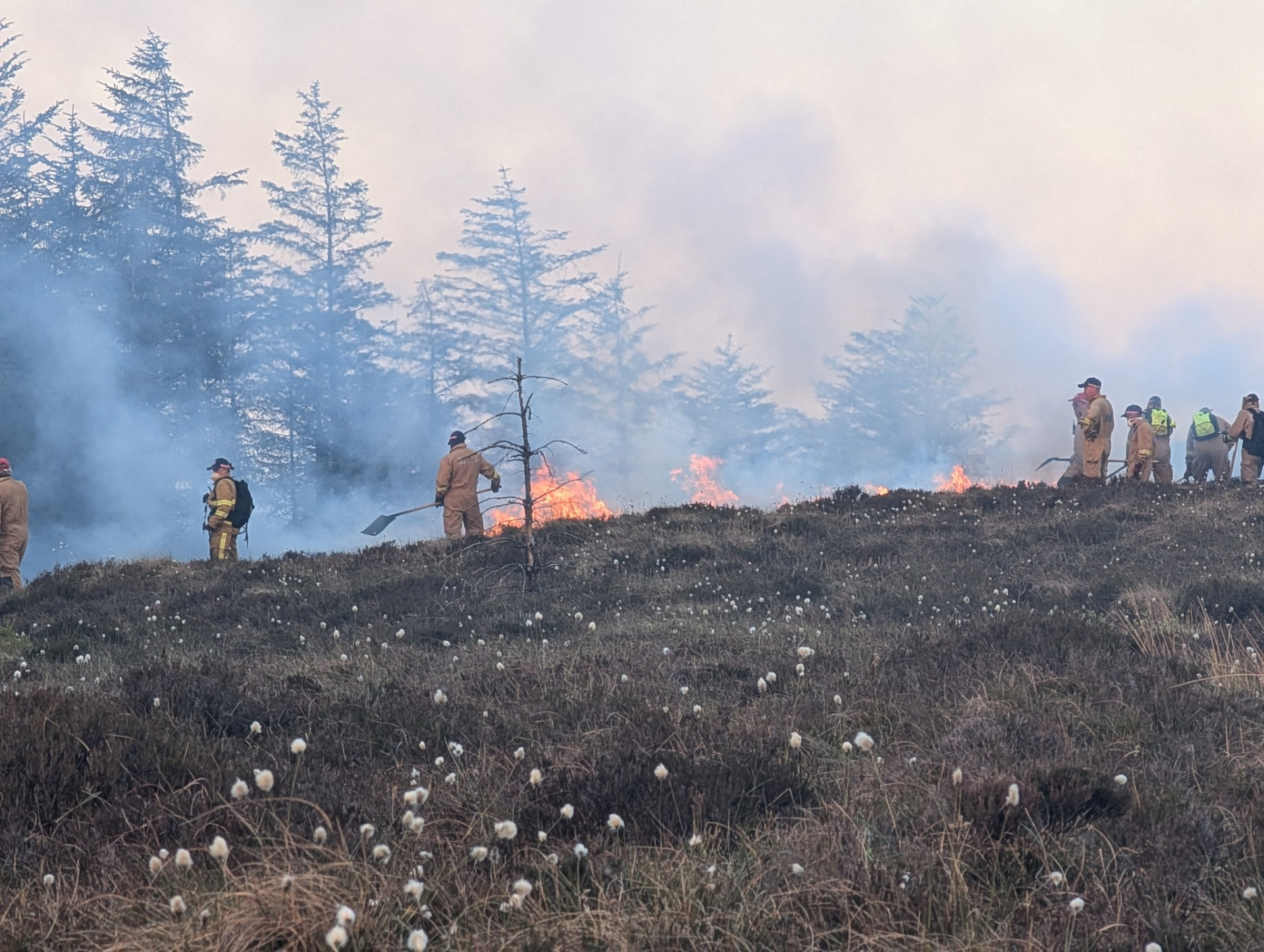 100 firefighters involved in operation against Tyrone wildfires
