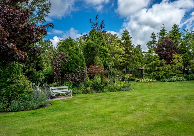 Impressive Tyrone garden to be opened to the public for charity