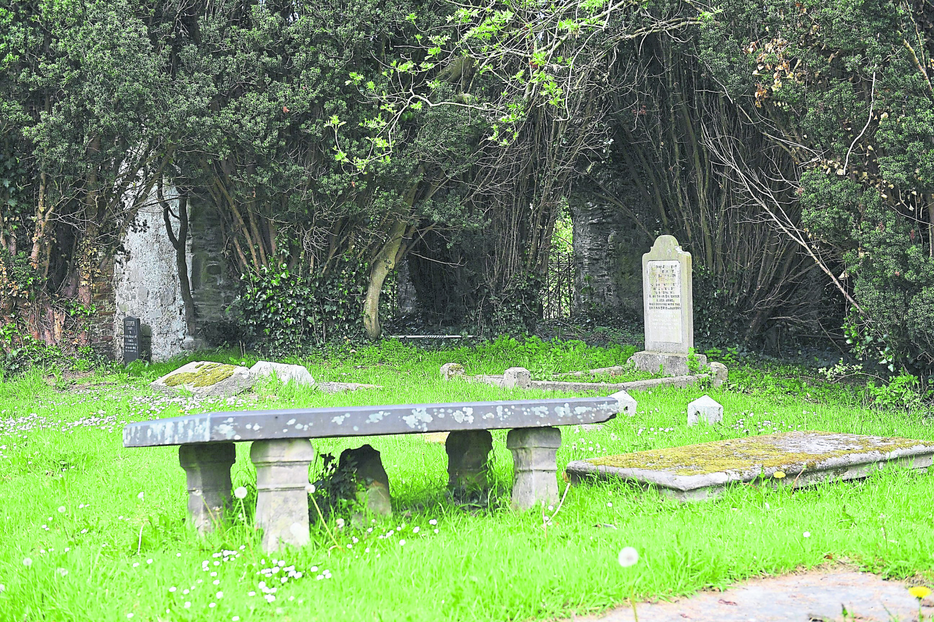 New project aims to bring history of Tyrone cemeteries to life