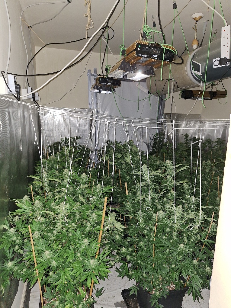 Photos released of Trillick house used as a drugs factory