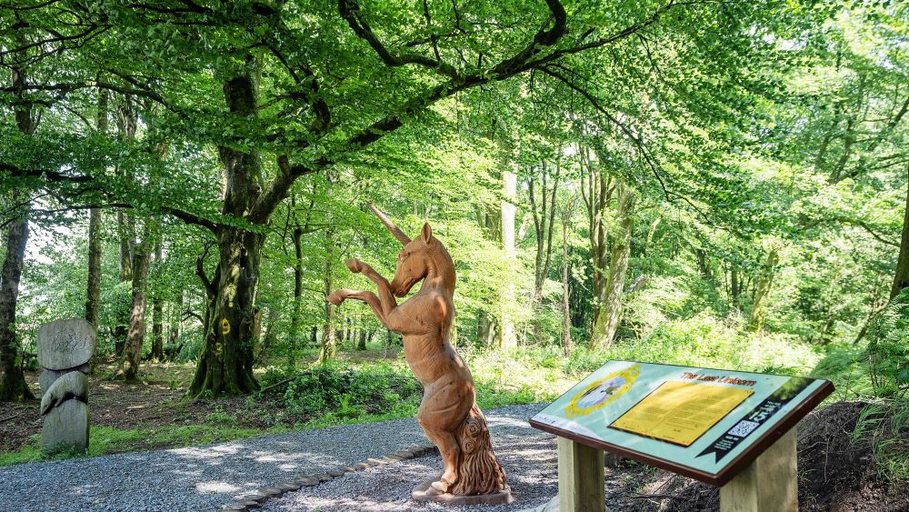 Application lodged for entertainment licence at Tyrone forest