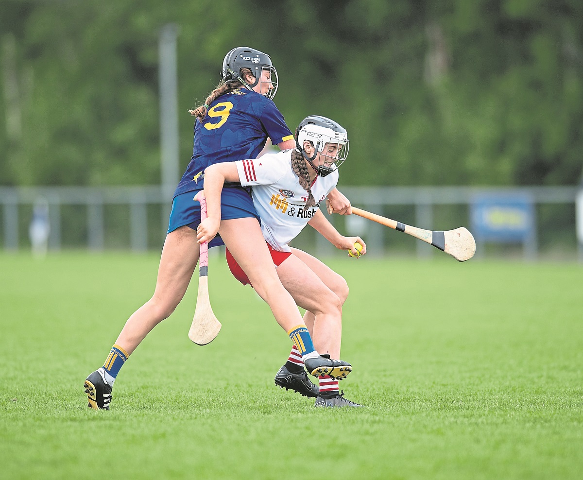 Wicklow repel Red Hand camogs in closing stages