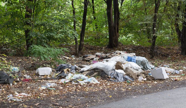 Bins dumped in Mid Tyrone vandalism spree