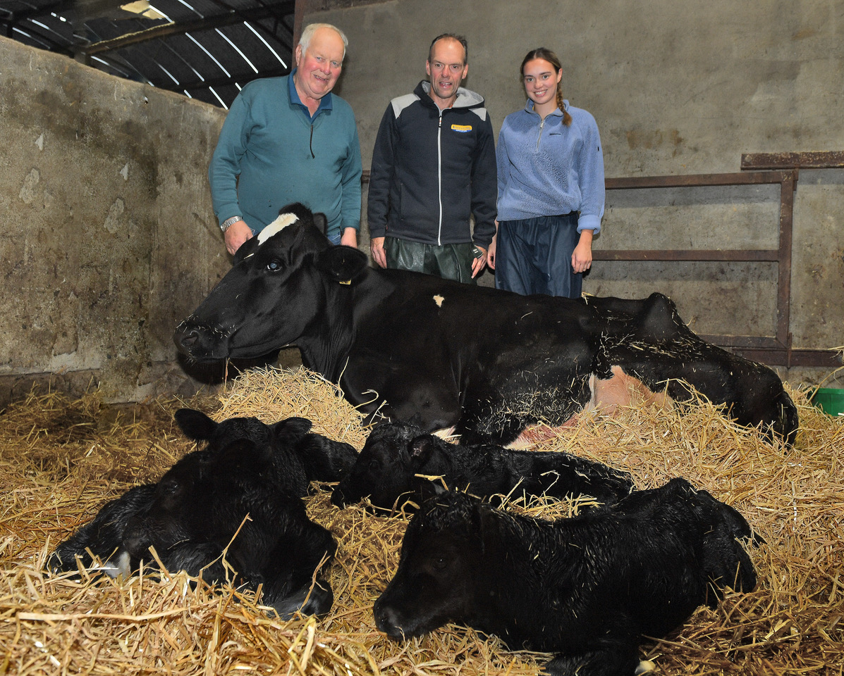 One-in-11 million arrivals on Tyrone farm