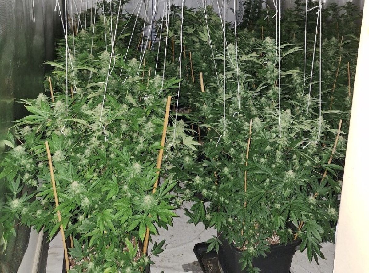Lithuanian footballer charged in connection with Trillick drugs