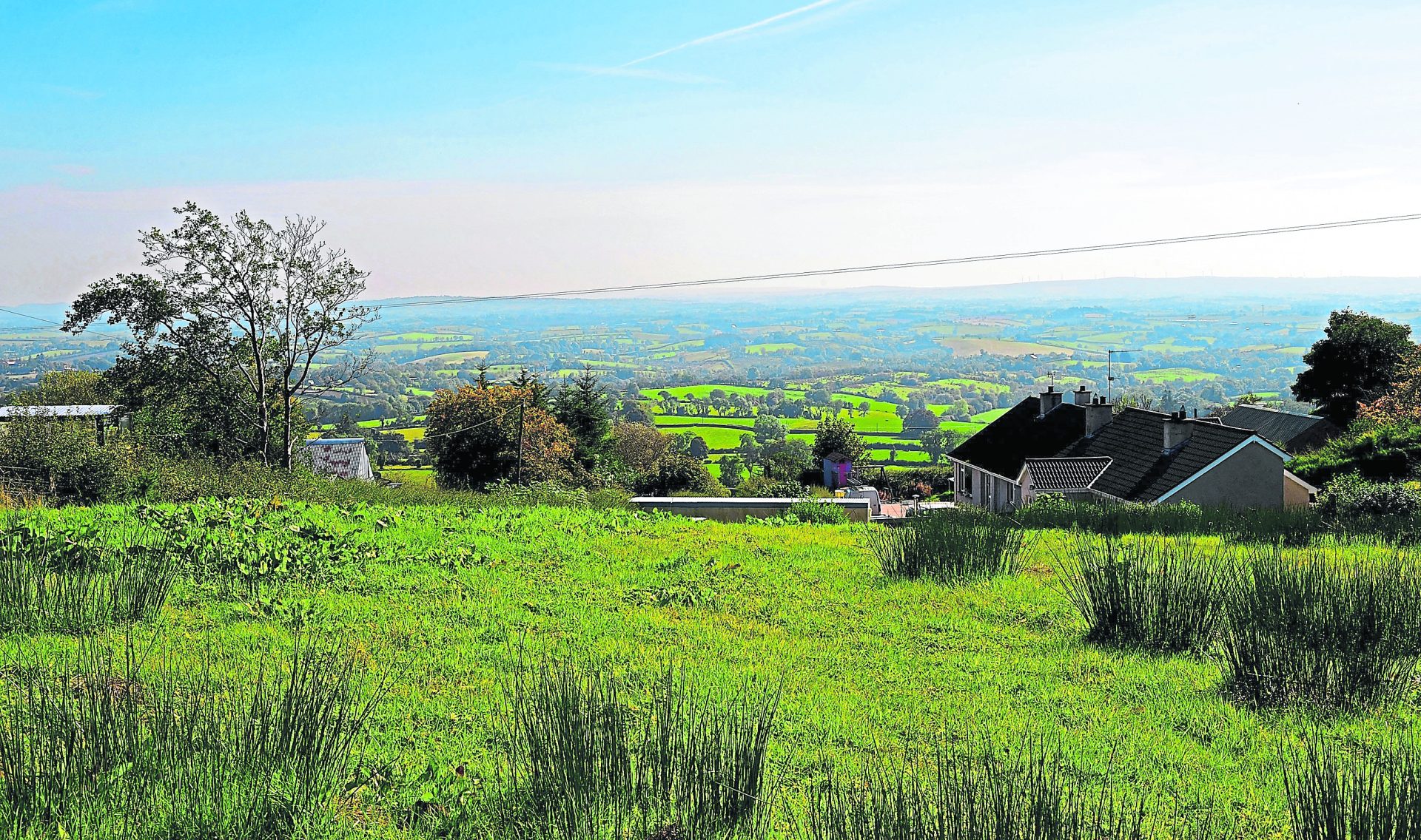 Pet crematorium given go-ahead after long-running planning battle