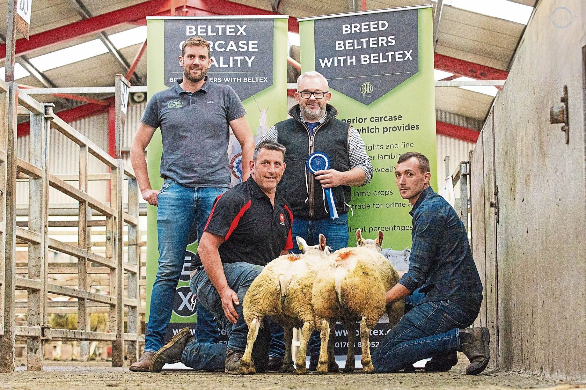 Success for Tyrone farmers at Clogher Valley competition