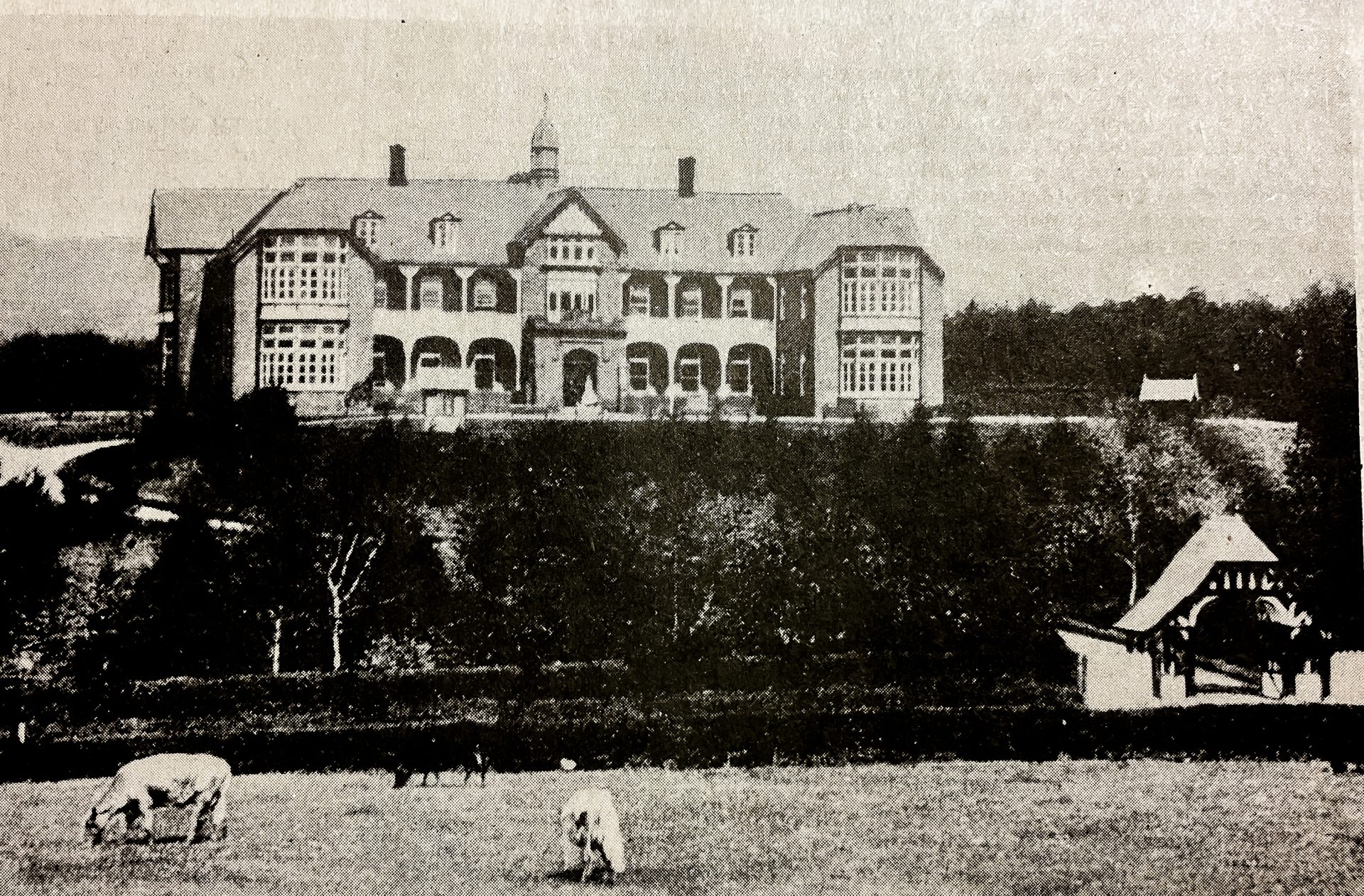 Dig at old Omagh hospital site uncovers no hidden treasures