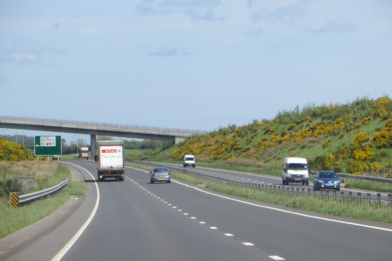 PSNI officers correct to kill cow as it headed towards busy road