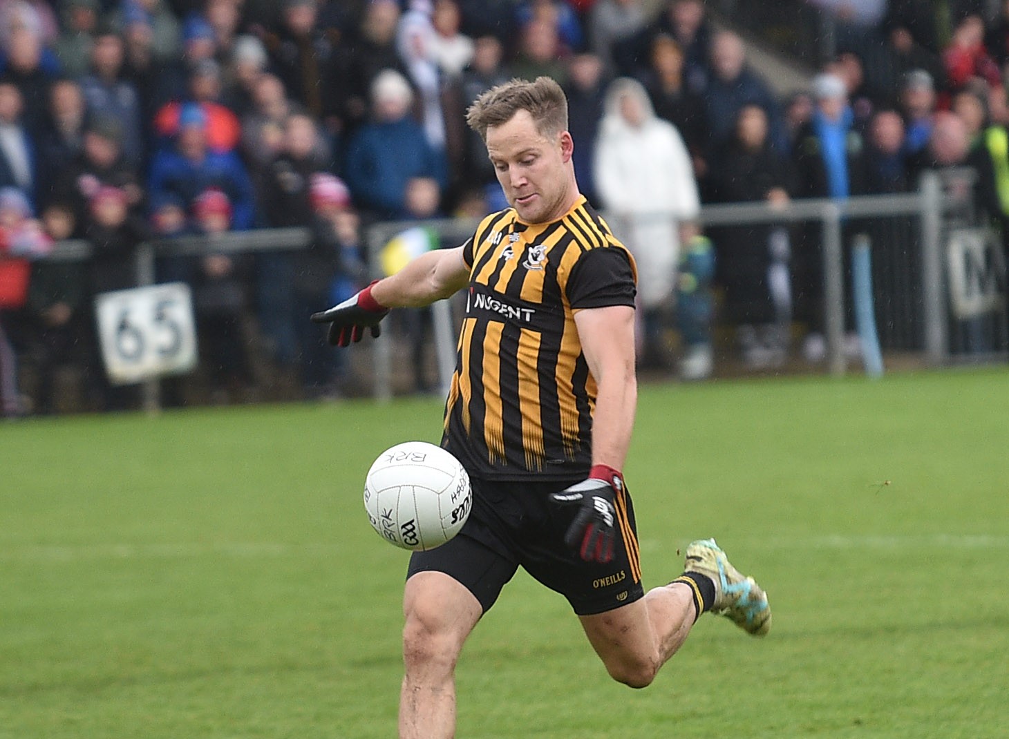 Pomeroy boost survival hopes