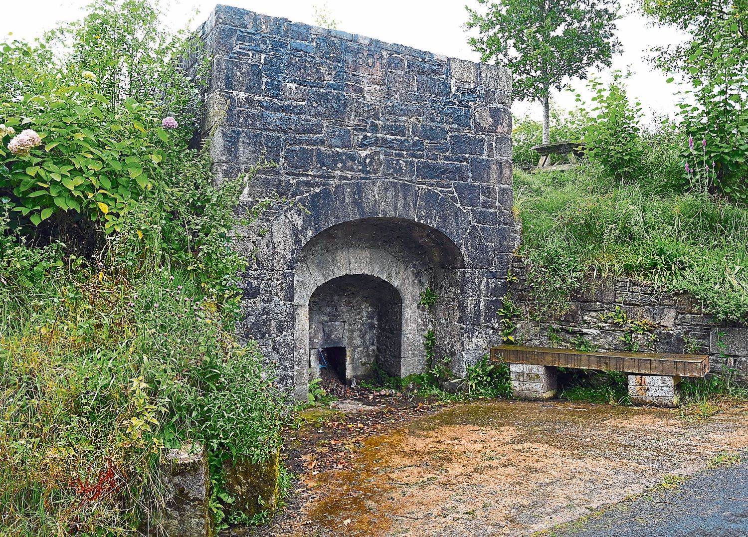 Disused Tyrone kiln a key link to old farming methods
