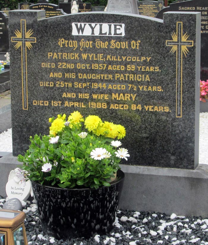 The brutal murder of a Tyrone schoolgirl by US soldier