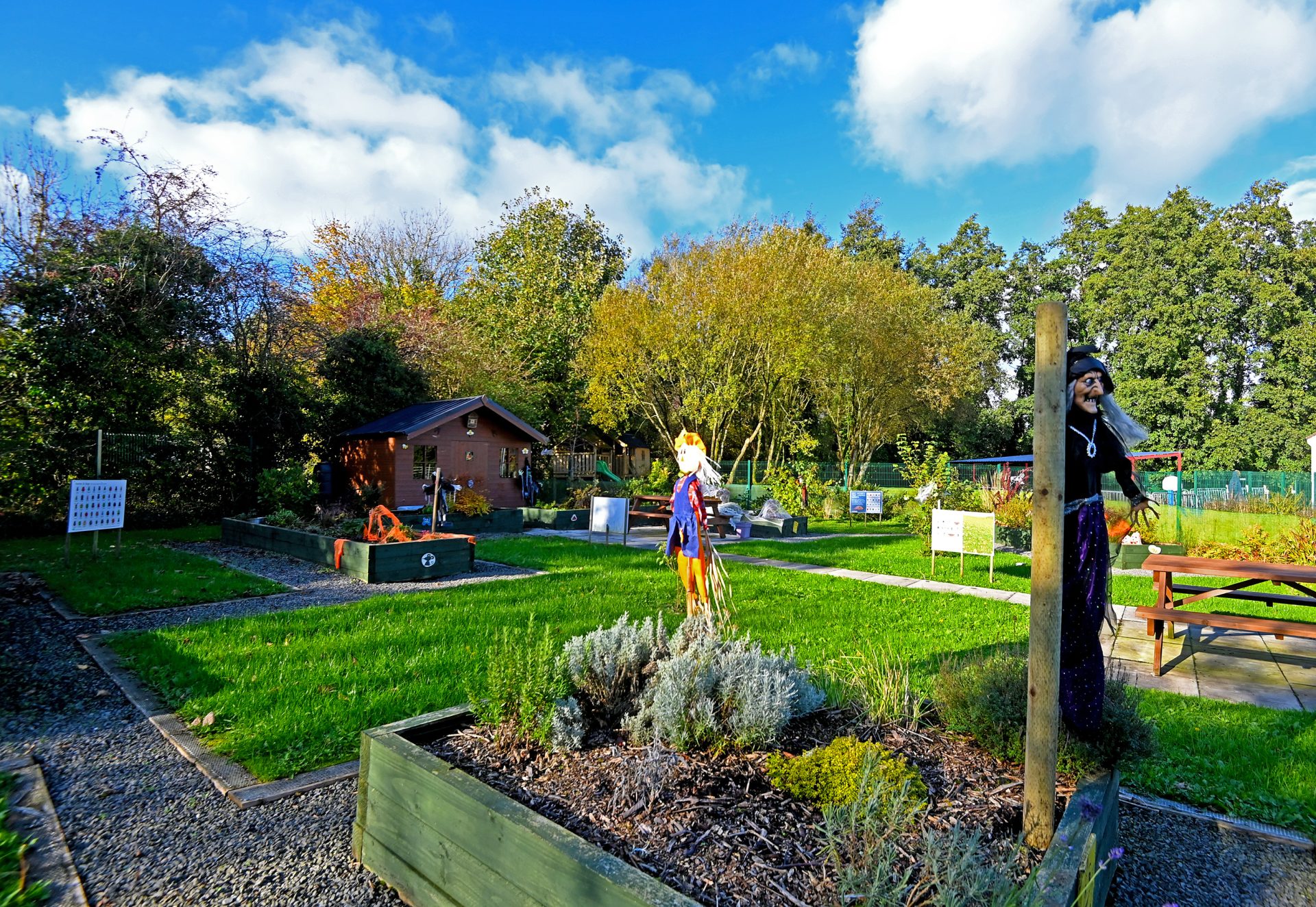 Dromore delight after town wins major ‘best kept’ award