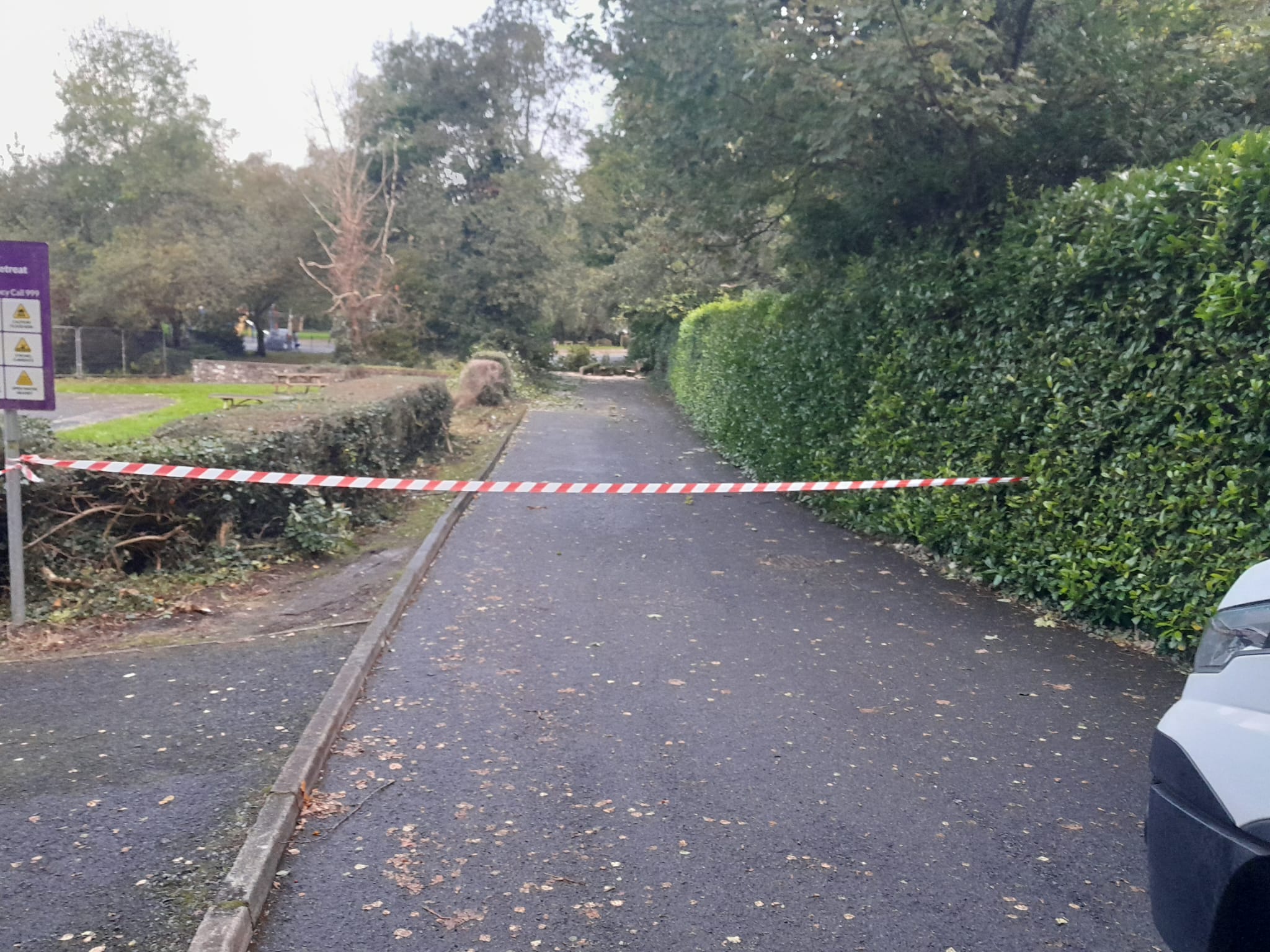 Major clean-up underway this morning after Storm Amy hits Tyrone