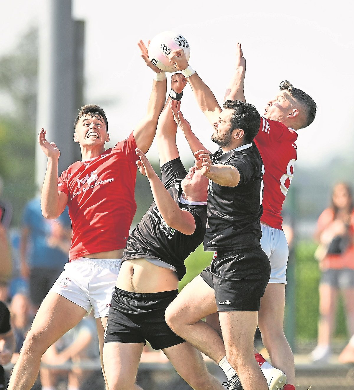 Eglish goalie Gibney would love to ‘net’ final berth