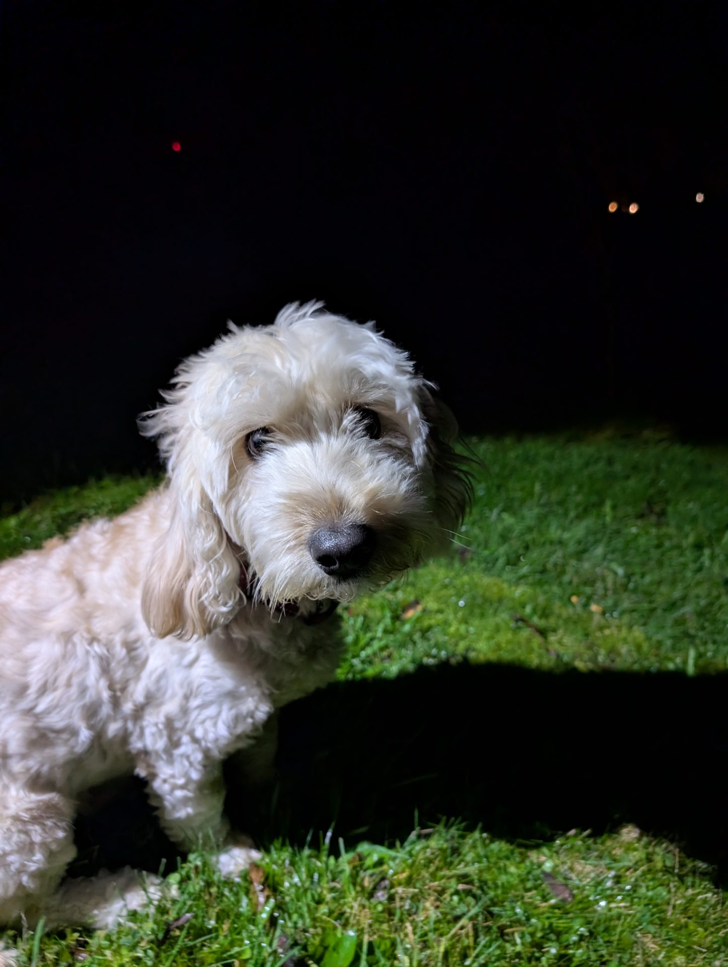 The Wuff with the Smooth: The howling