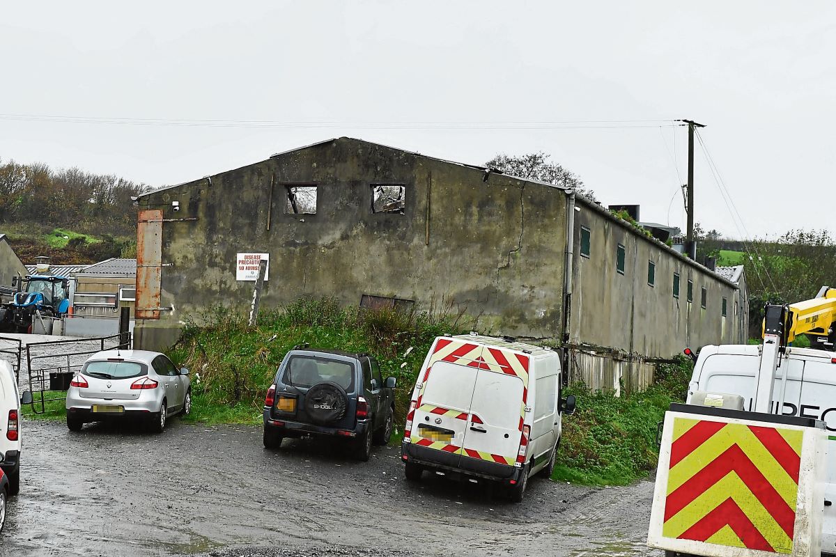 Tyrone farmer ‘heartbroken’ after 450 pigs killed in fire
