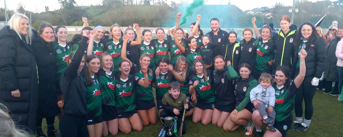 Captain fantastic delivers dramatic victory for Eglish Camogs